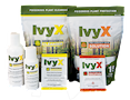 Ivy X Pre Post - Combo(2).png
